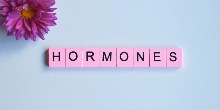 Which hormones play a role during menopause.png
